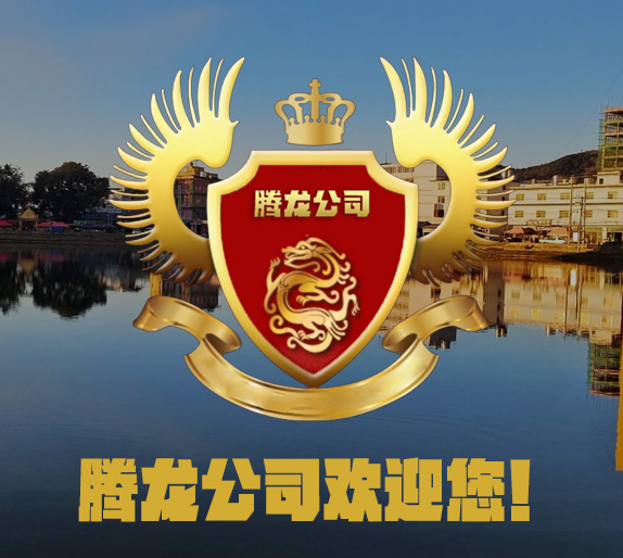 腾龙游戏展示
